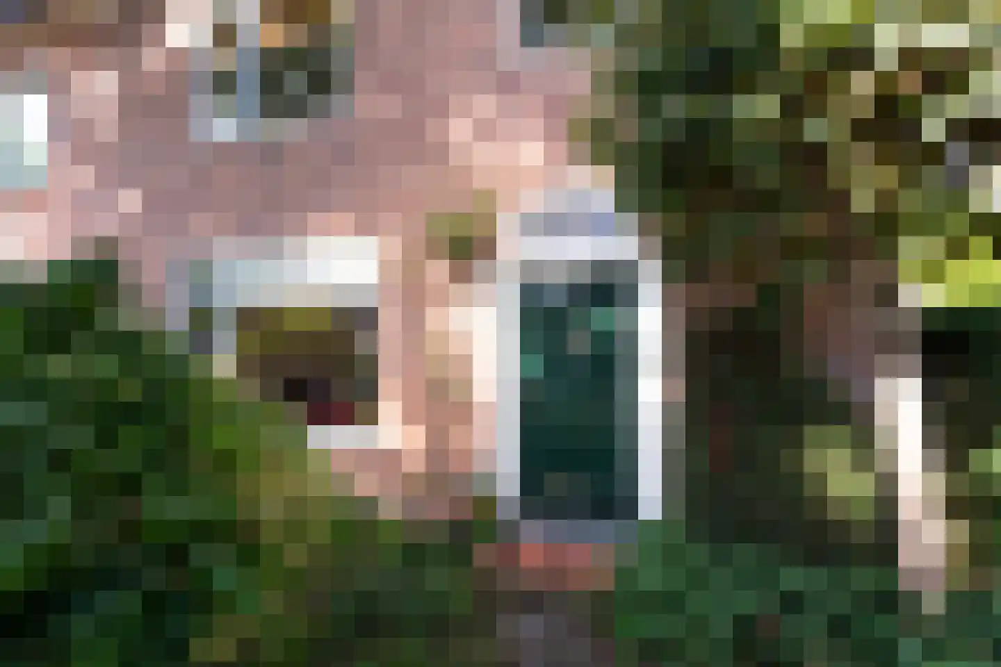 Grunsfoortseweg 1 Renkum thumbnail 5