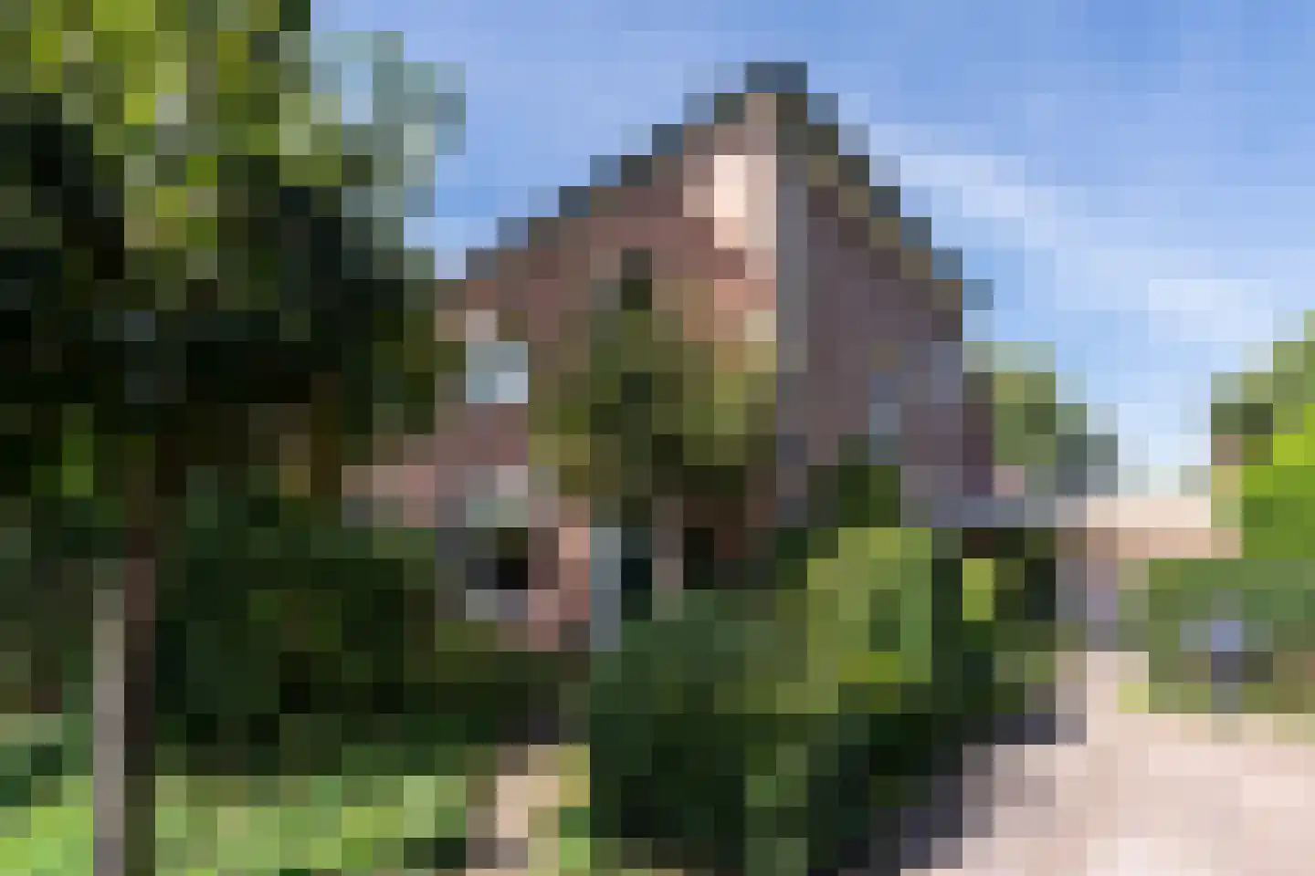 Grunsfoortseweg 1 Renkum thumbnail 51