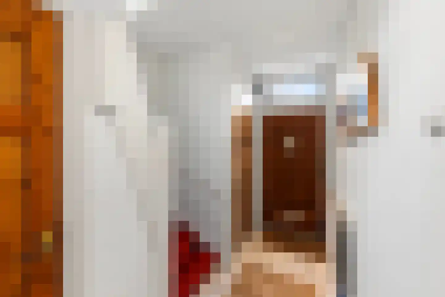 Grunsfoortseweg 1 Renkum thumbnail 6