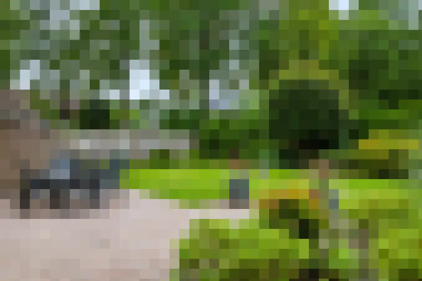 Grunsvoort 14 Ugchelen thumbnail 5