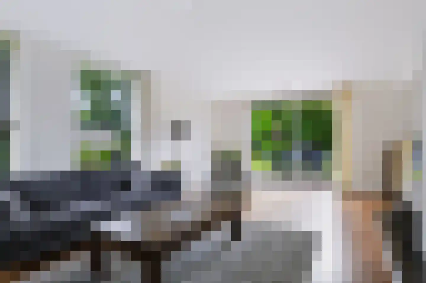 Grunsvoort 14 Ugchelen thumbnail 9