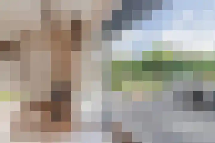 Gruppelboomgaard 11 Vleuten thumbnail 14