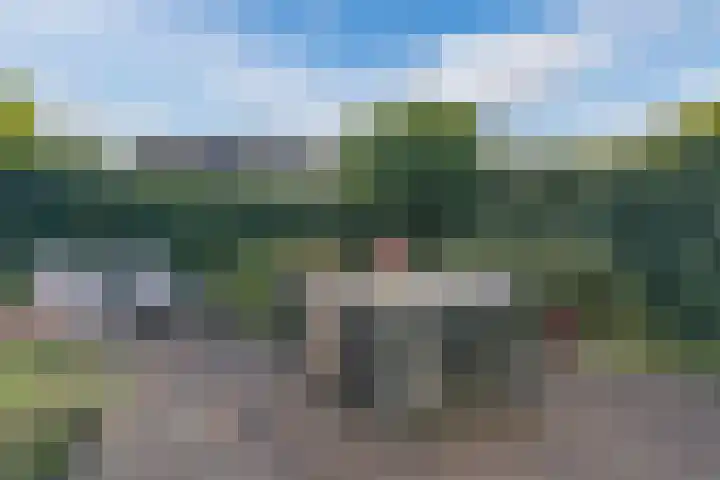 Gruppelboomgaard 11 Vleuten thumbnail 15