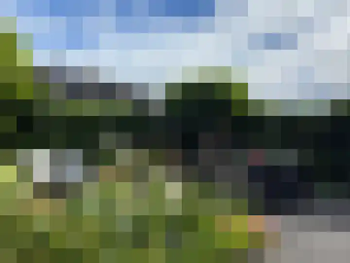 Gruppelboomgaard 11 Vleuten thumbnail 17
