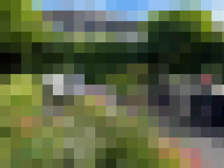 Gruppelboomgaard 11 Vleuten thumbnail 18
