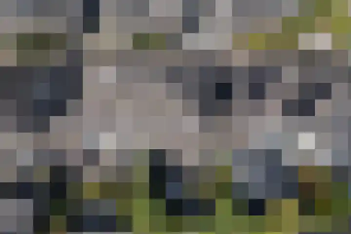 Gruppelboomgaard 11 Vleuten thumbnail 20