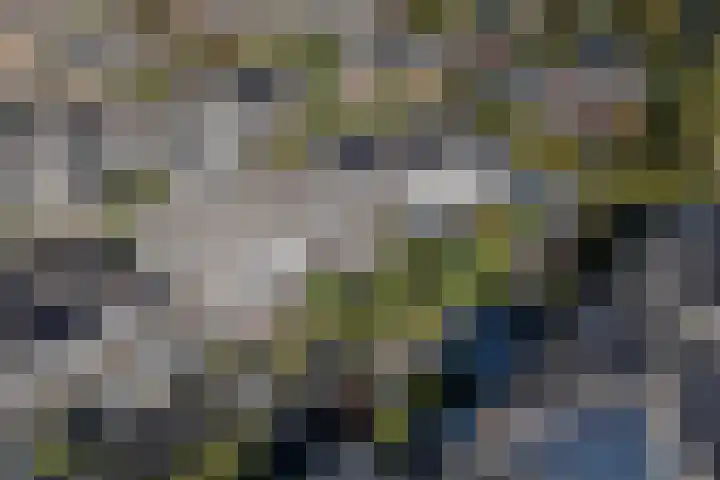 Gruppelboomgaard 11 Vleuten thumbnail 21