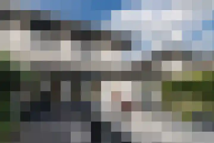 Gruppelboomgaard 11 Vleuten thumbnail 24