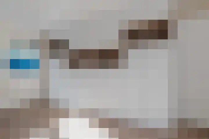 Gruppelboomgaard 11 Vleuten thumbnail 26