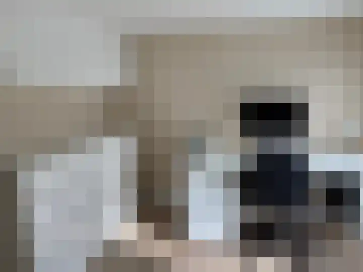 Gruppelboomgaard 11 Vleuten thumbnail 29