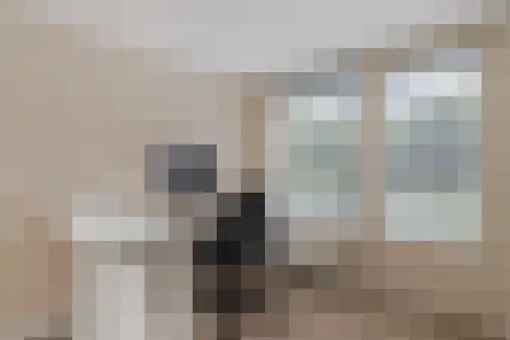 Gruppelboomgaard 11 Vleuten thumbnail 30