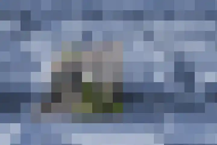 Gruppelboomgaard 11 Vleuten thumbnail 4