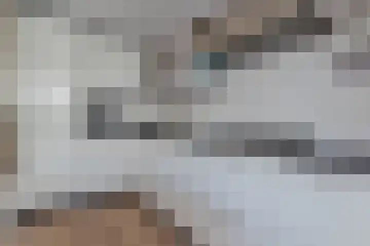 Gruppelboomgaard 11 Vleuten thumbnail 41