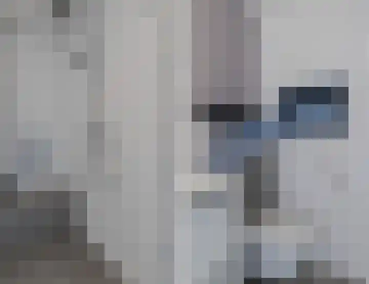 Gruppelboomgaard 11 Vleuten thumbnail 52
