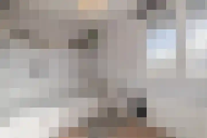 Gruppelboomgaard 11 Vleuten thumbnail 54