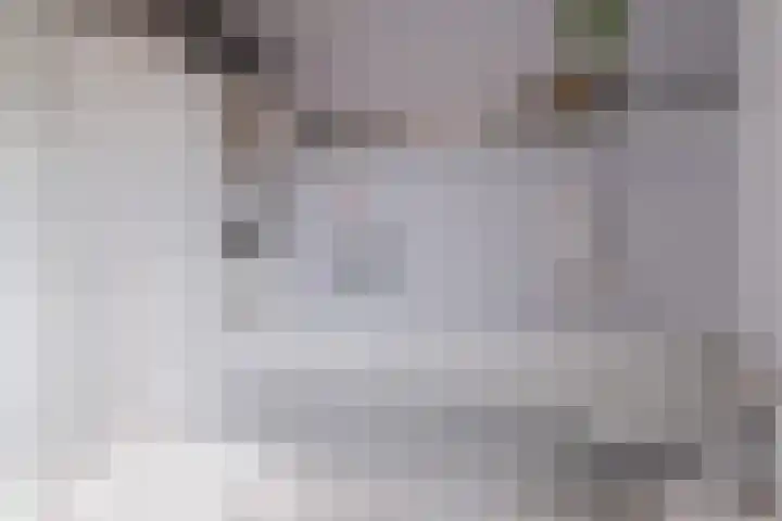 Gruppelboomgaard 11 Vleuten thumbnail 55