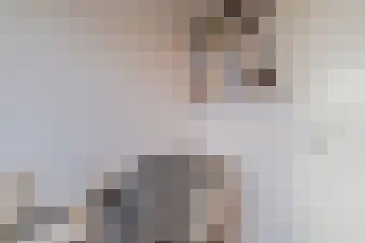 Gruppelboomgaard 11 Vleuten thumbnail 59