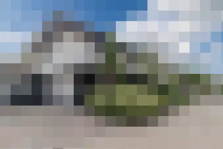 Gruppelboomgaard 11 Vleuten thumbnail 60