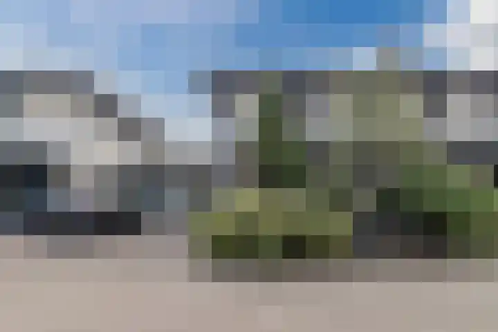 Gruppelboomgaard 11 Vleuten thumbnail 61