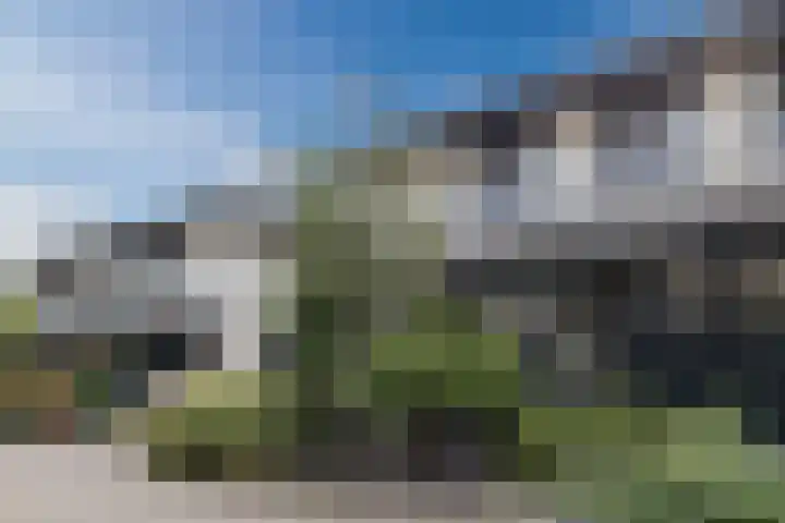 Gruppelboomgaard 11 Vleuten thumbnail 62