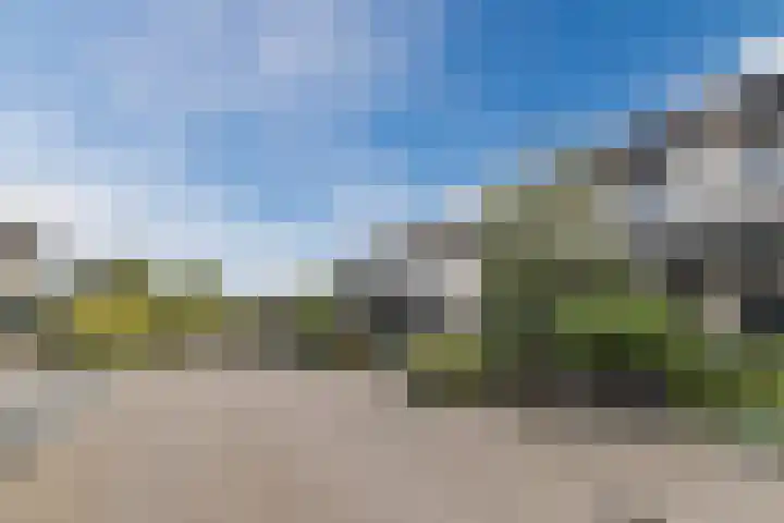 Gruppelboomgaard 11 Vleuten thumbnail 63