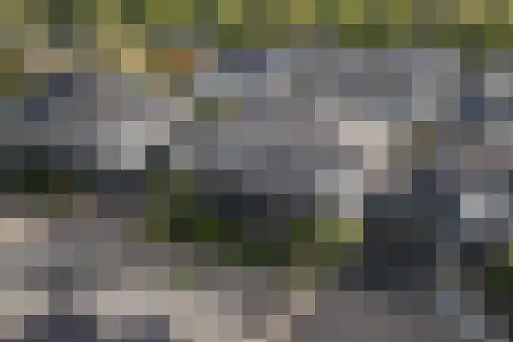 Gruppelboomgaard 11 Vleuten thumbnail 64