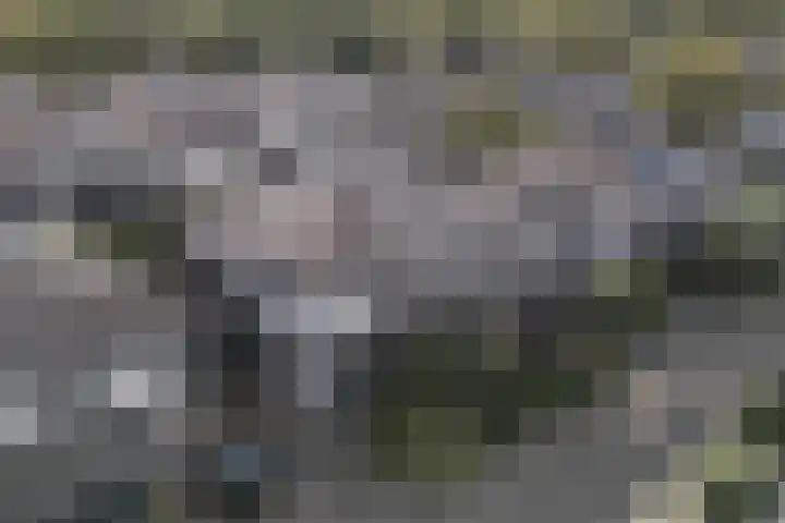 Gruppelboomgaard 11 Vleuten thumbnail 65