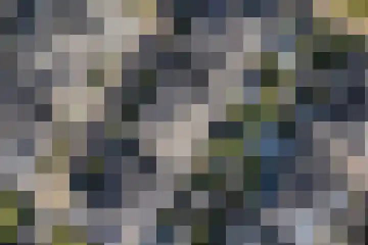 Gruppelboomgaard 11 Vleuten thumbnail 66