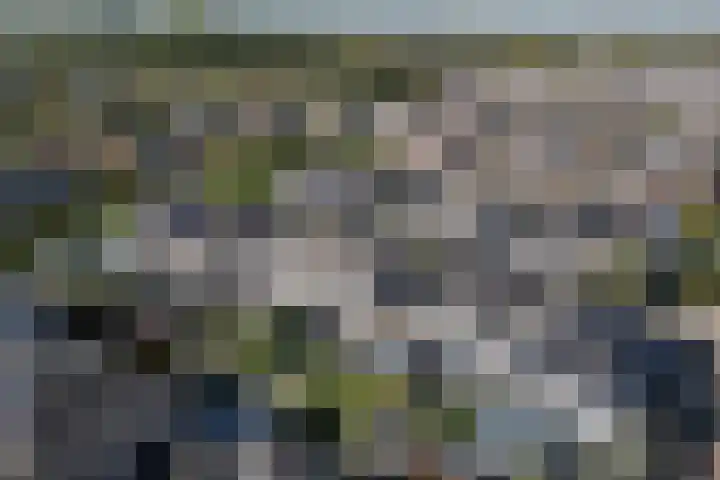 Gruppelboomgaard 11 Vleuten thumbnail 67