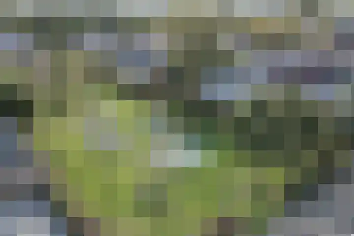 Gruppelboomgaard 11 Vleuten thumbnail 68