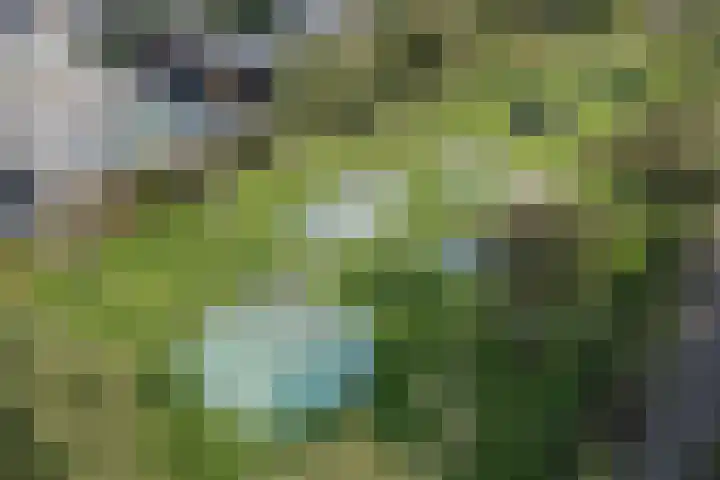 Gruppelboomgaard 11 Vleuten thumbnail 69