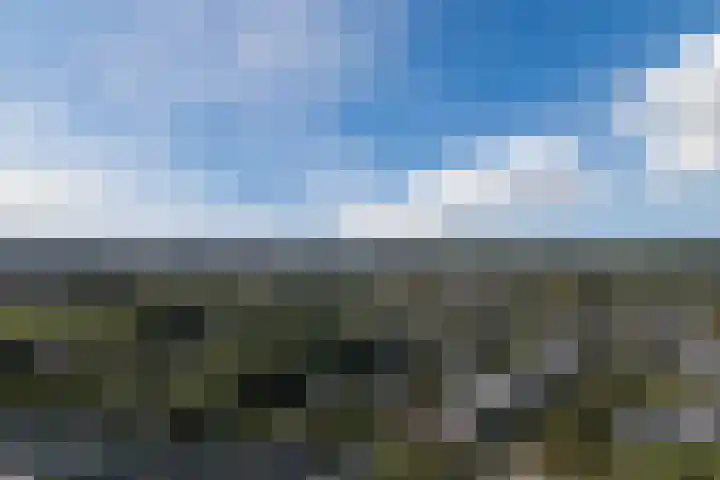 Gruppelboomgaard 11 Vleuten thumbnail 70