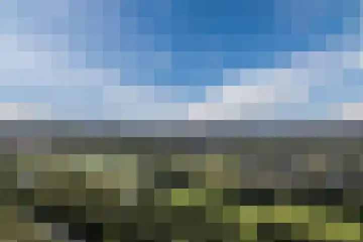 Gruppelboomgaard 11 Vleuten thumbnail 72