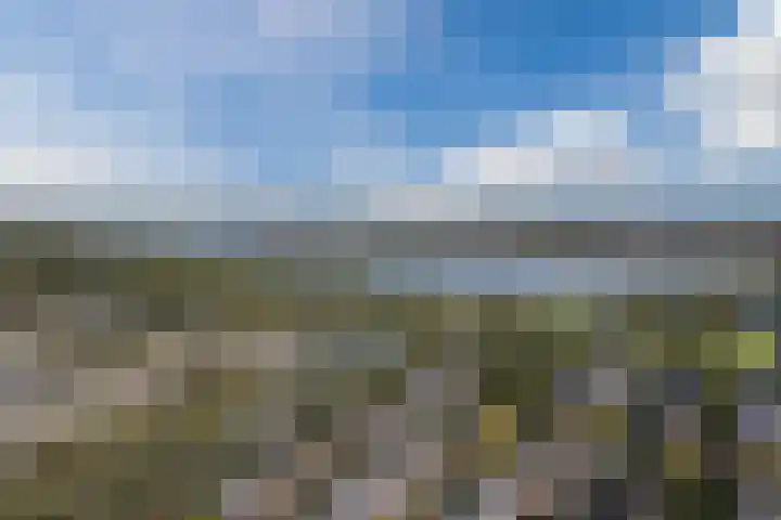 Gruppelboomgaard 11 Vleuten thumbnail 73