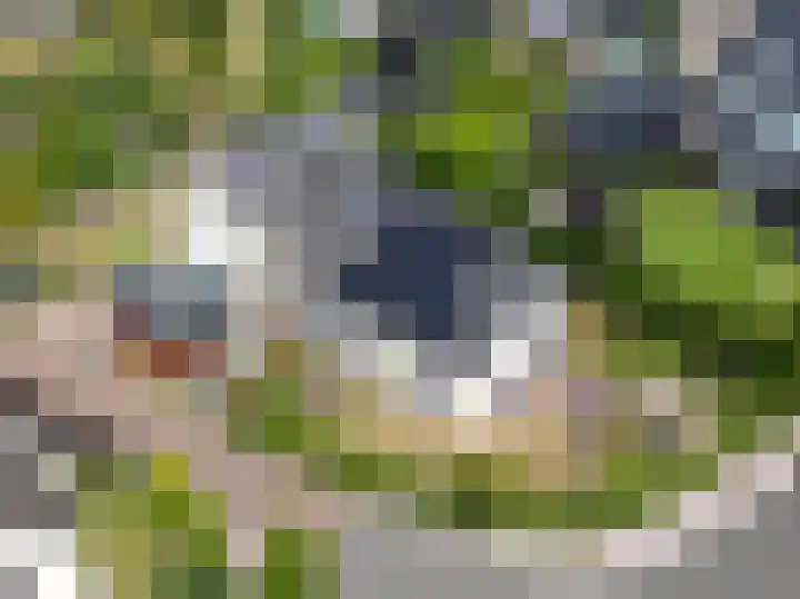 Gruppendelerweg 18 Nunspeet thumbnail 10
