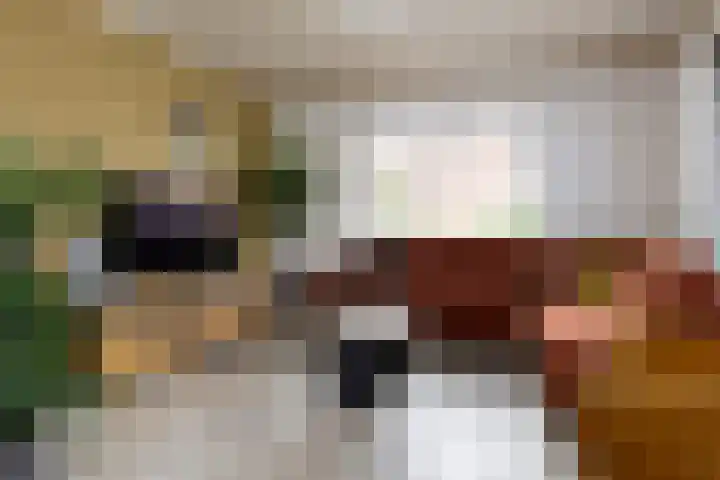 Gruppendelerweg 18 Nunspeet thumbnail 12
