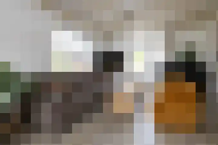 Gruppendelerweg 18 Nunspeet thumbnail 13