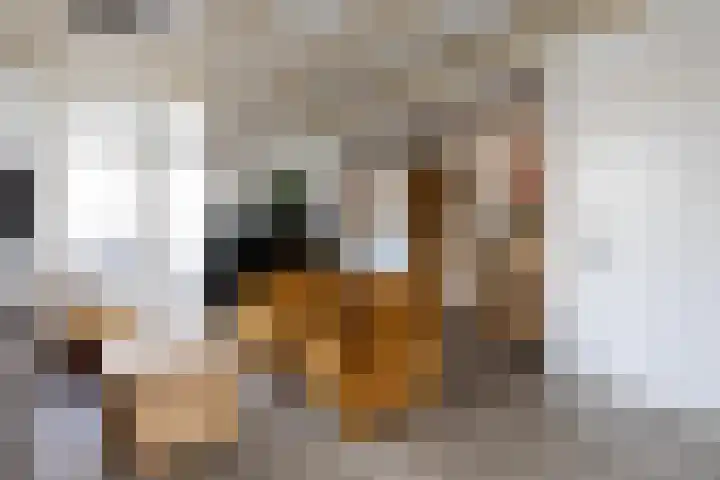 Gruppendelerweg 18 Nunspeet thumbnail 14