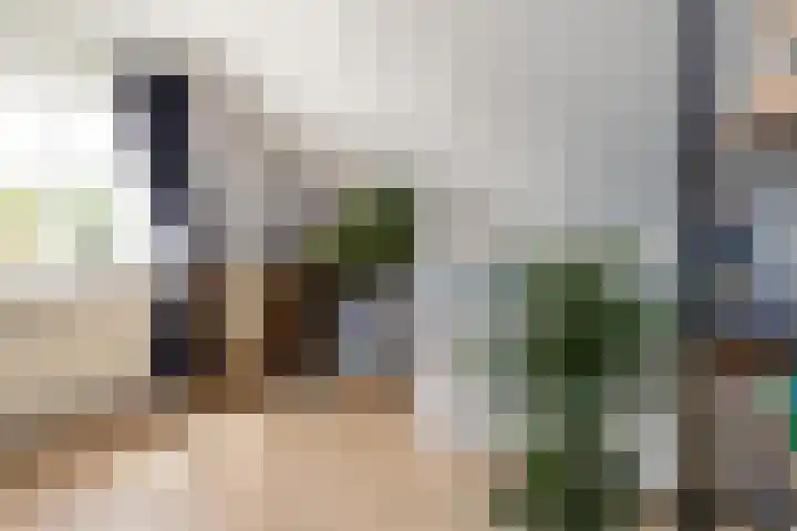 Gruppendelerweg 18 Nunspeet thumbnail 27