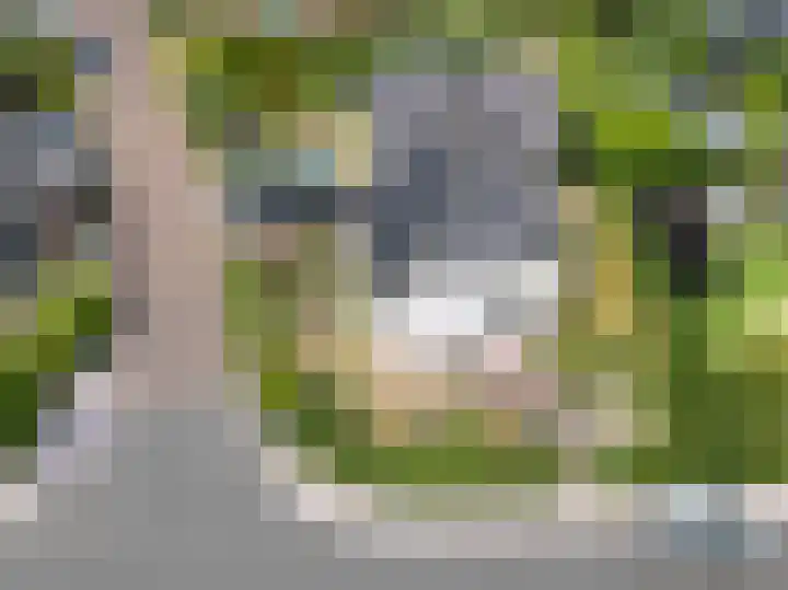 Gruppendelerweg 18 Nunspeet thumbnail 39
