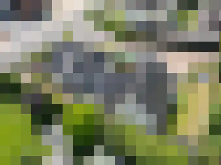 Gruppendelerweg 18 Nunspeet thumbnail 41
