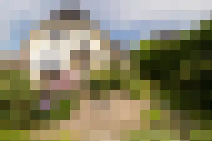 Gruppendelerweg 18 Nunspeet thumbnail 42