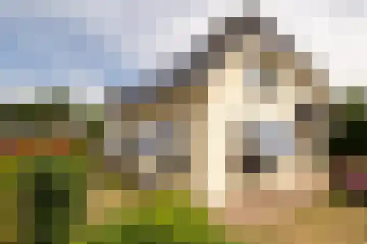 Gruppendelerweg 18 Nunspeet thumbnail 43
