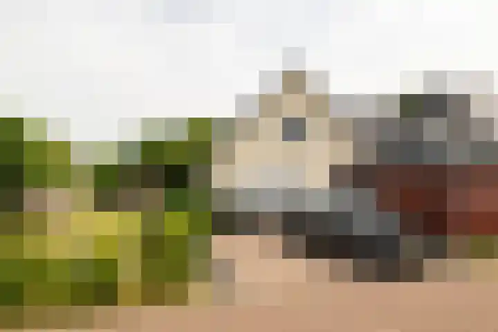 Gruppendelerweg 18 Nunspeet thumbnail 44