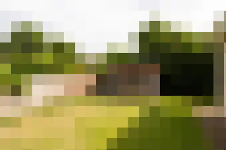 Gruppendelerweg 18 Nunspeet thumbnail 45