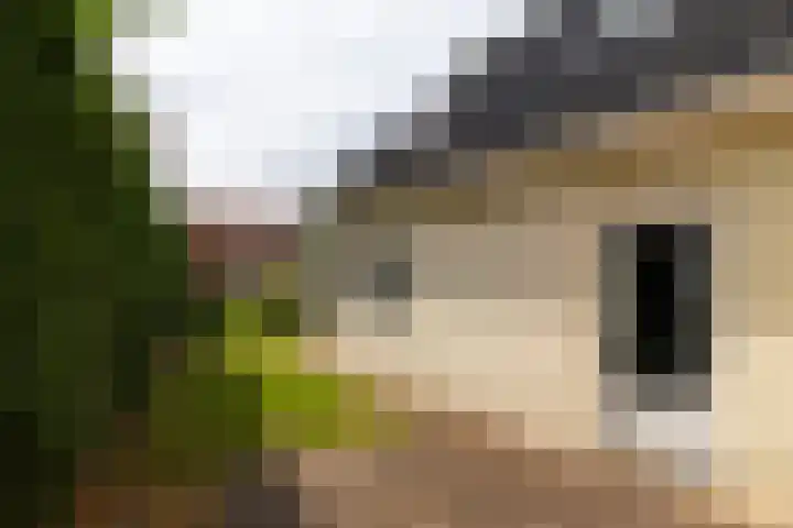 Gruppendelerweg 18 Nunspeet thumbnail 9