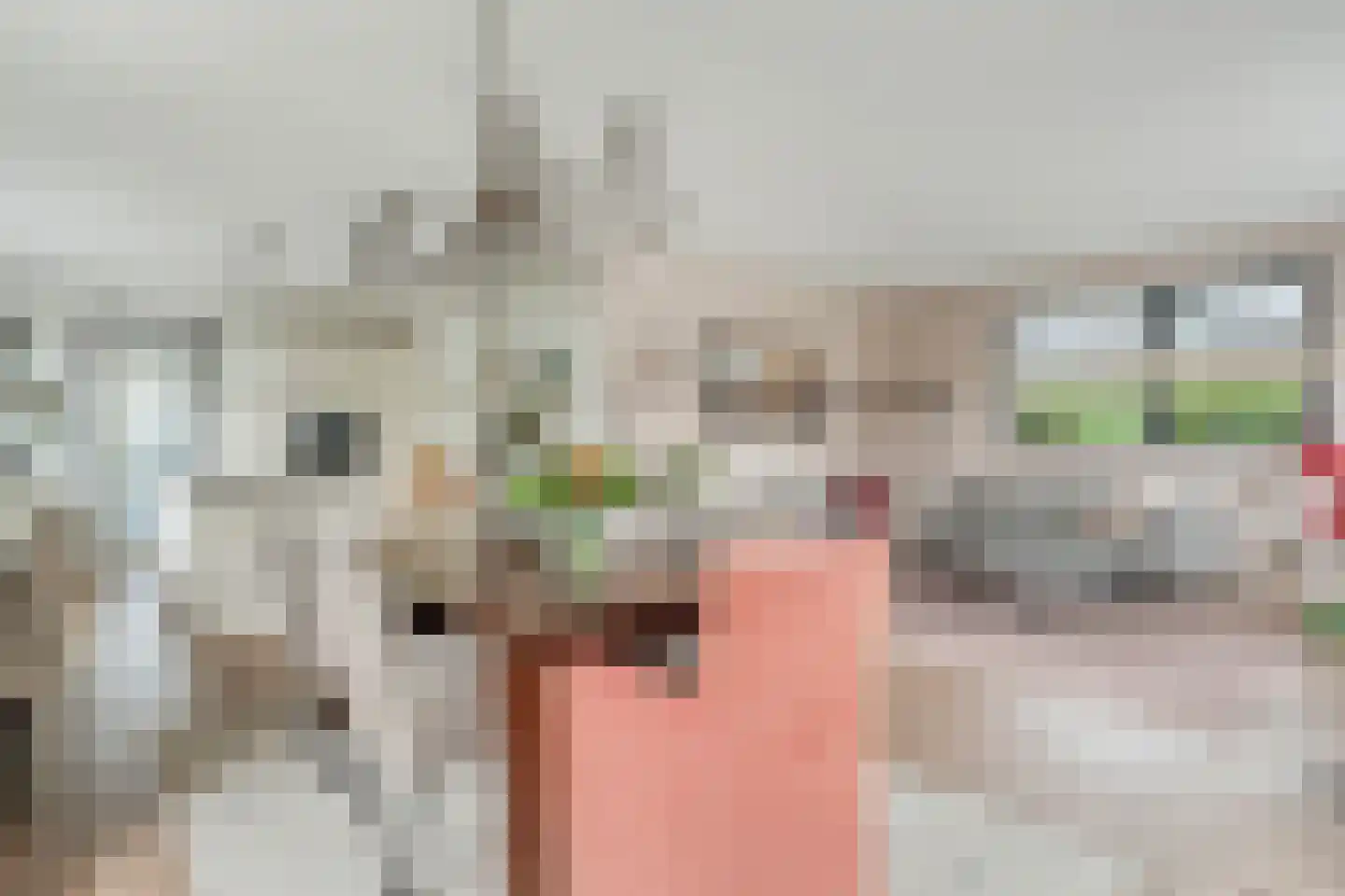 Gruppendelerweg 31 Nunspeet thumbnail 15