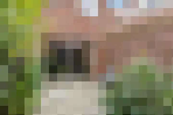 Grutmolen 33 Groningen thumbnail 41