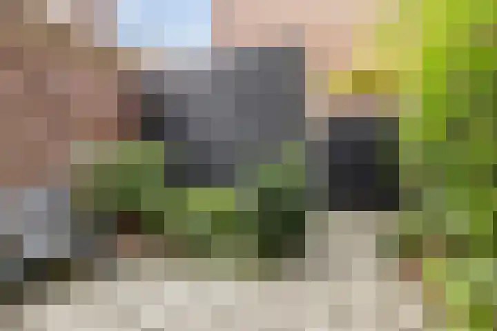 Grutmolen 33 Groningen thumbnail 6