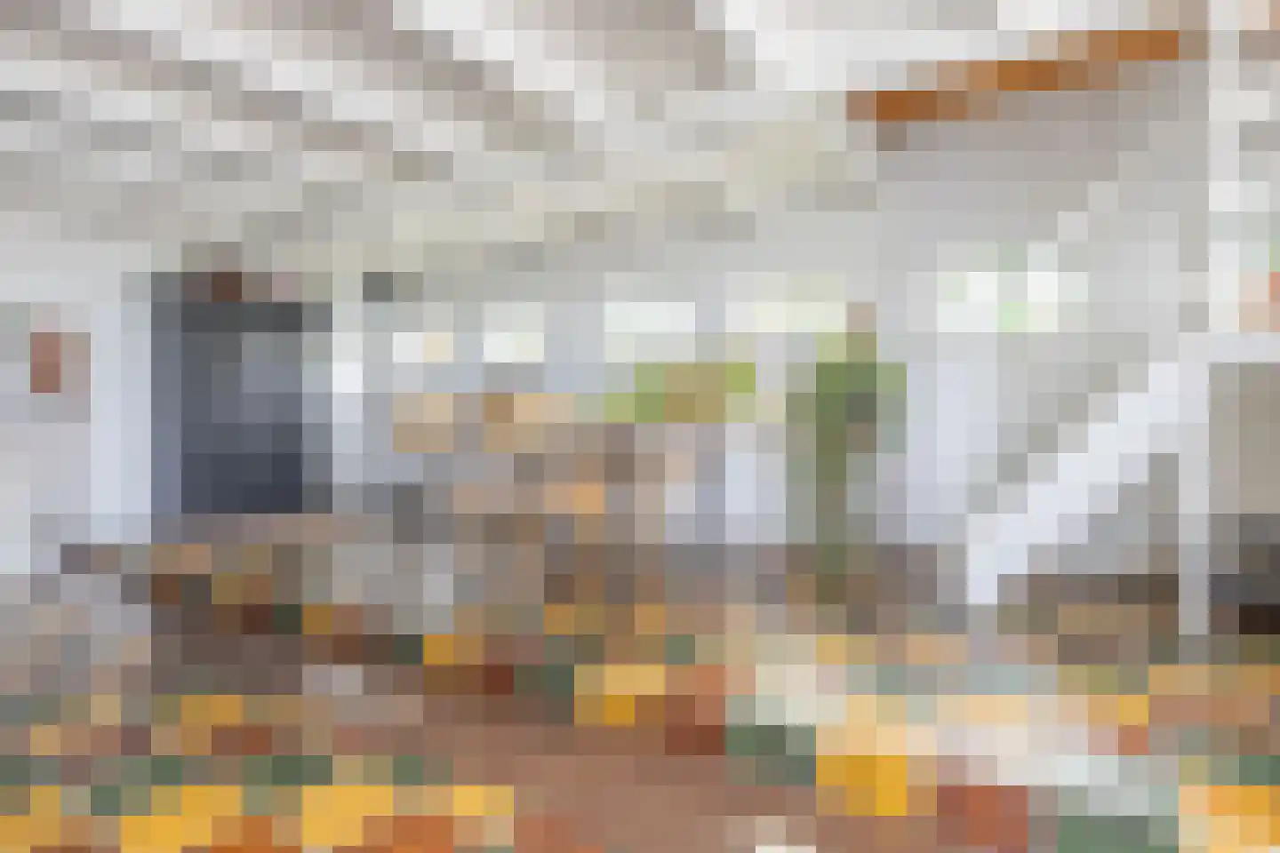 Grutte Buorren 8 Moarre thumbnail 11